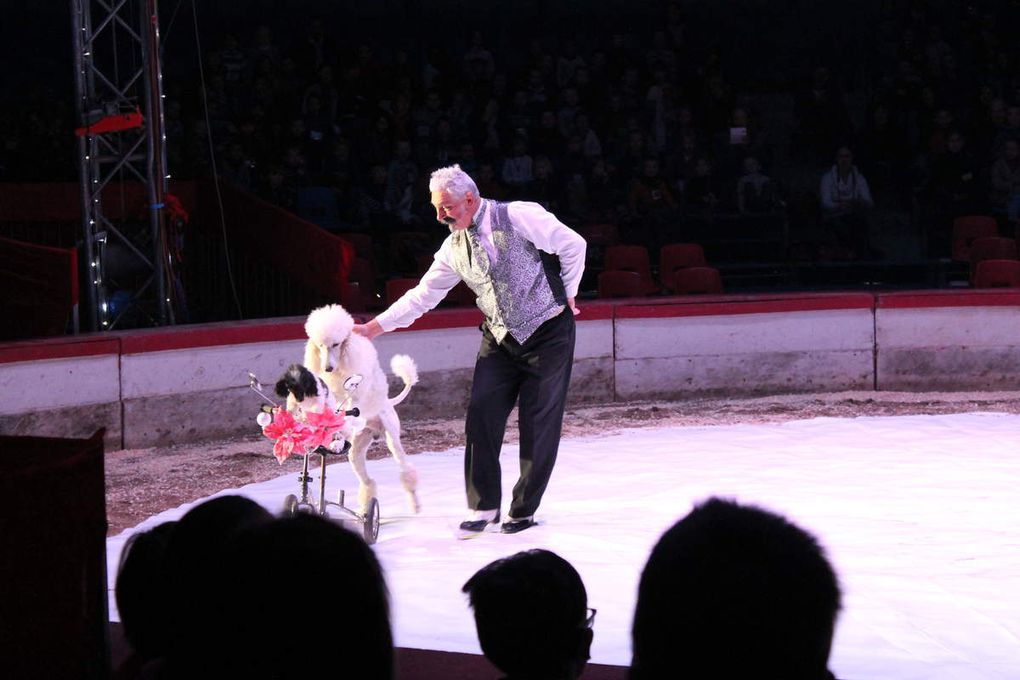 Cirque Medrano le 05/12/2014 à Nantes