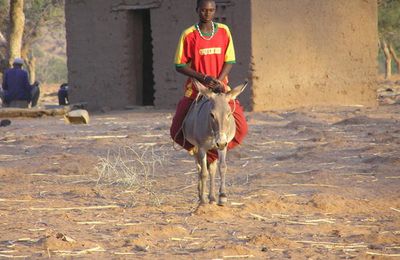 notre guide dogon