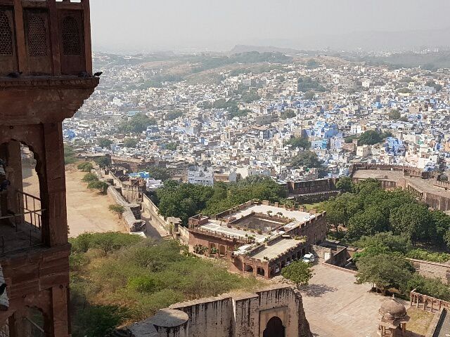 Jodhpur "la ville bleue" 