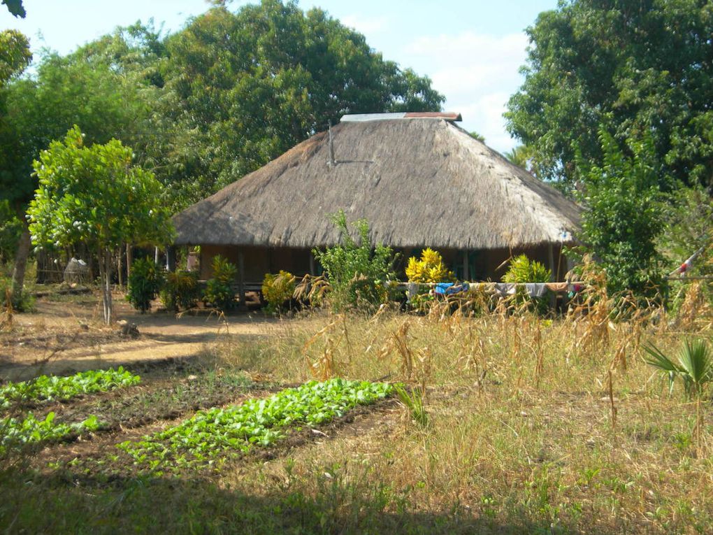 maisons traditionnelles de Sumba.