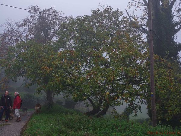 RETROUVAILLES FRATERNELLES ET AMICALES EN ARDECHE