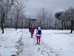 première sortie avec la neige :)