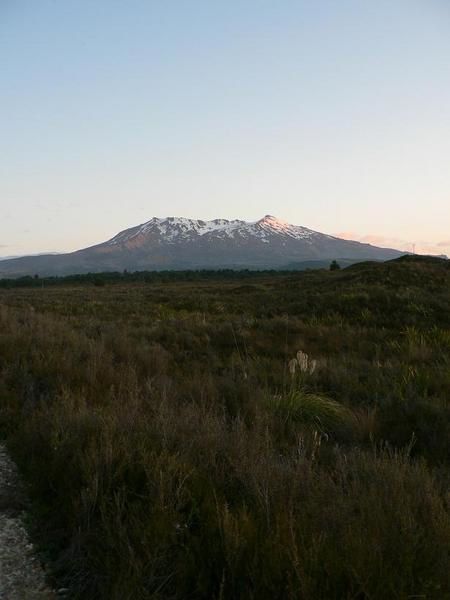 Album - NZ - Ile du Nord