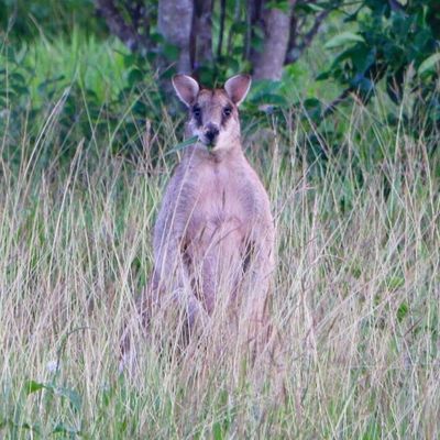 26/05 - Mission Beach! Done! 