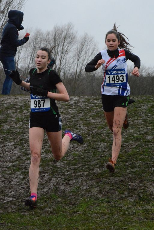 Album - Romuald--Regionaux-de-cross-Louviers-2014