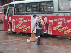 Album - chongqing