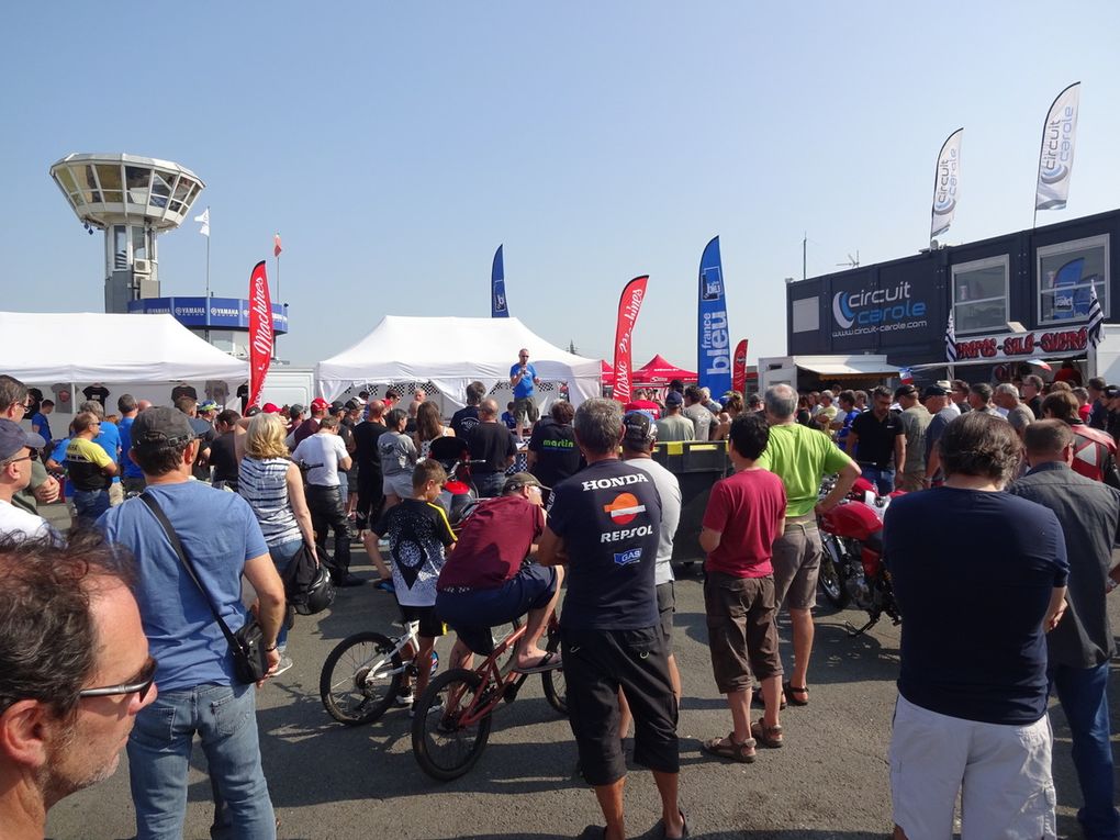 Paddocks et ambiance