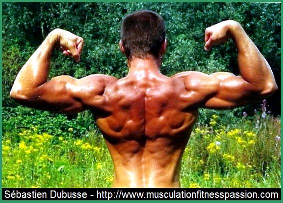 MUSCULATION, FITNESS, PASSION, ELDOLINK, SLIMDOO