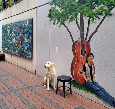 Daegu (3) ... en ville et dans les environs