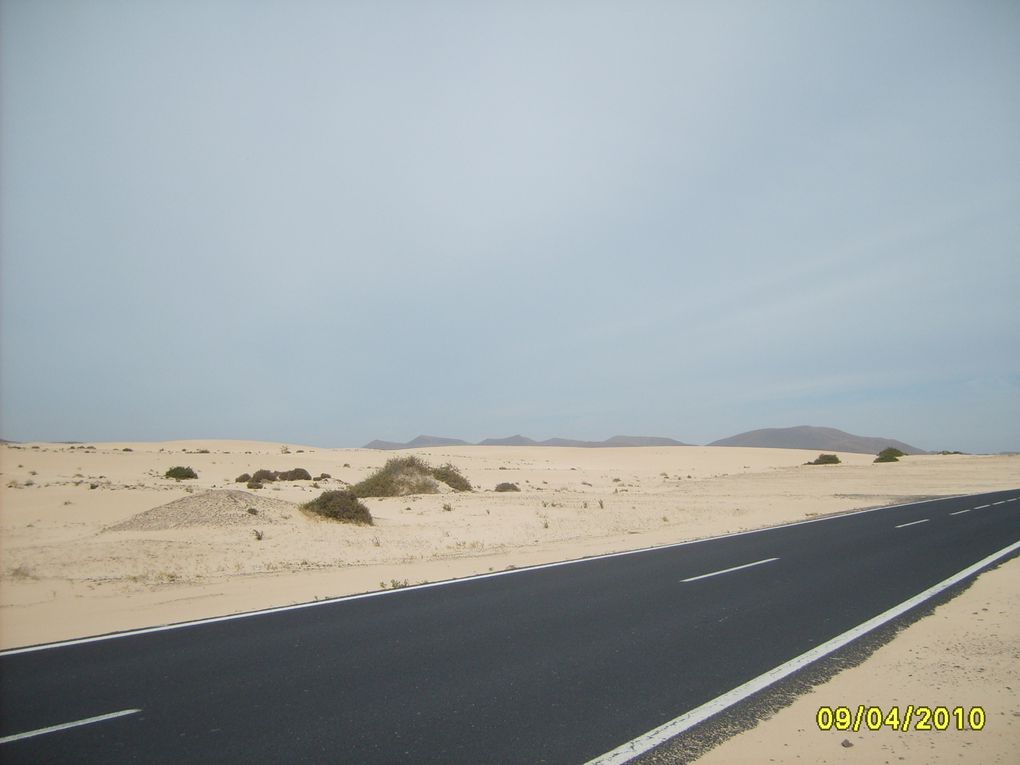 Album - vacances-chez-bea-a-fuerteventura