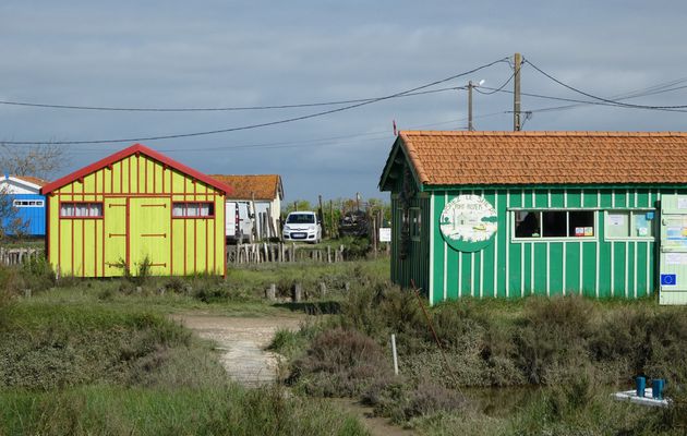 4  jours à Oléron