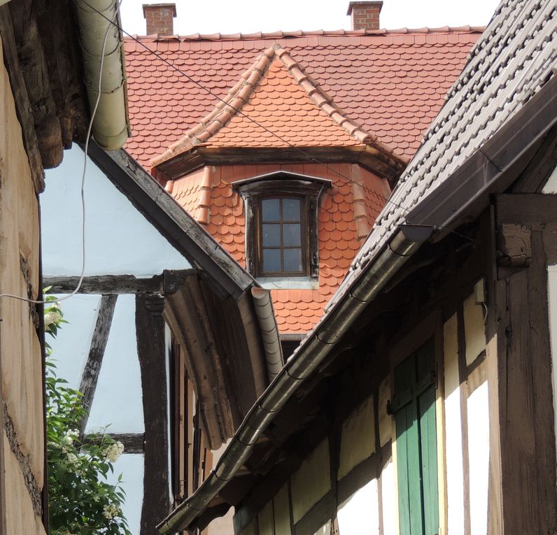 Album - Villages-d-Alsace: Bouxwiller