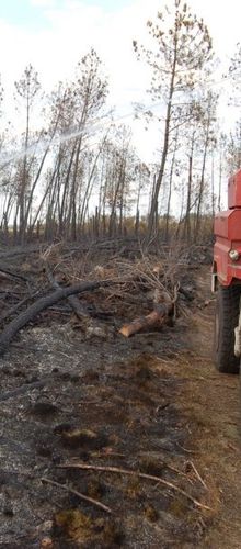 150 hectares partent en fumée dans les Landes