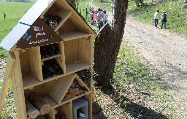 Photos du projet "Sentier Nature" de la classe de 3ème primaire