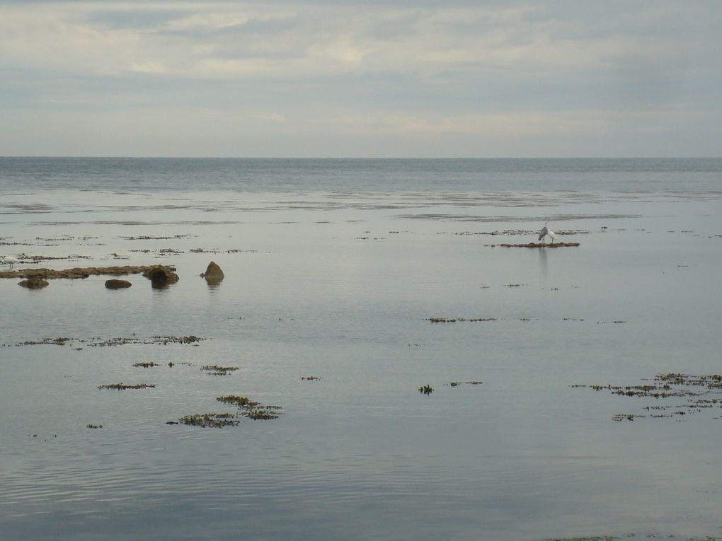 Vous faire partager nos petits voyages....
Des images simples....
Qui nous touchent.....
Qui nous font nous évader...