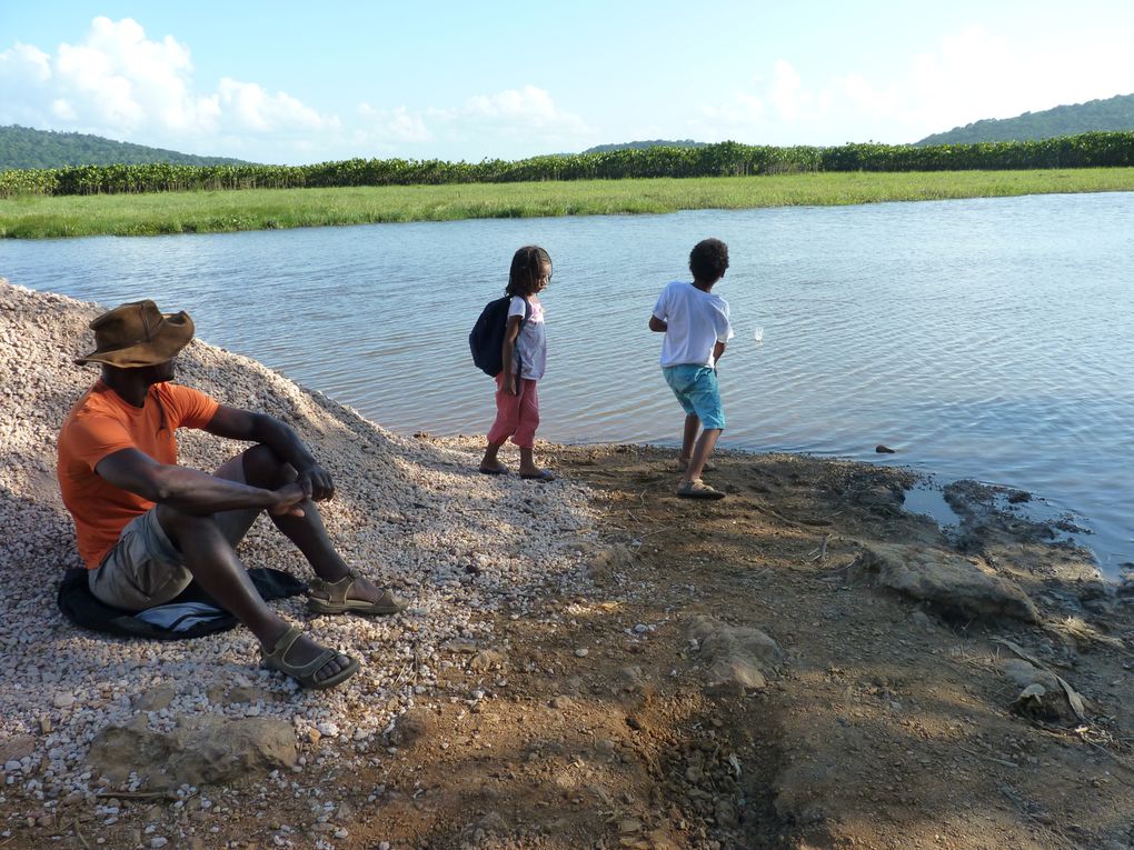 Album - Guyane-Ete-2011