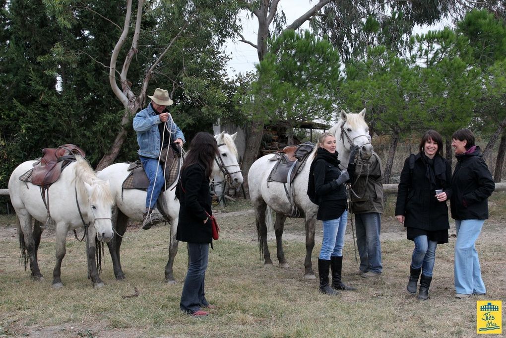 Une matinée en Camargue