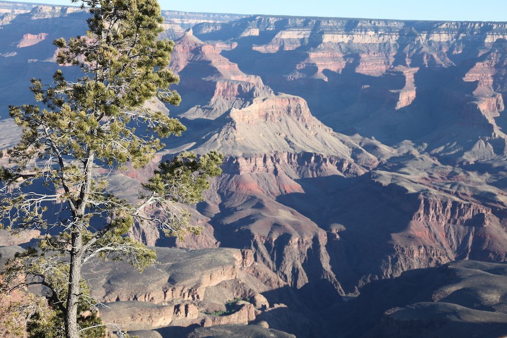The road trip - Grand Canyon