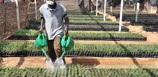  DEVELOPPEMENT DE LA RESILIENCE A LA BASE La Saed prône la cohabitation entre Agrobusiness et Agriculture Familiale