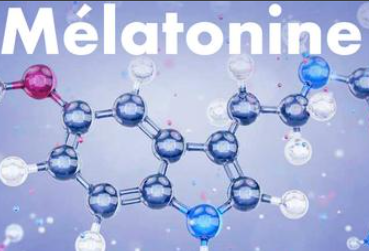 La mélatonine affecte la thrombose, la septicémie et le taux de mortalité du COVID