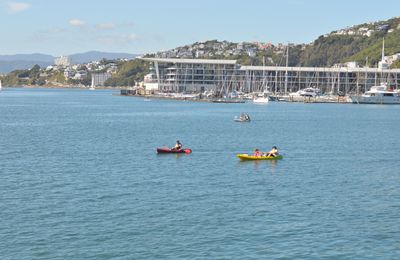 Nouvelle-Zélande : Wellington - petite capitale la plus cool du monde !