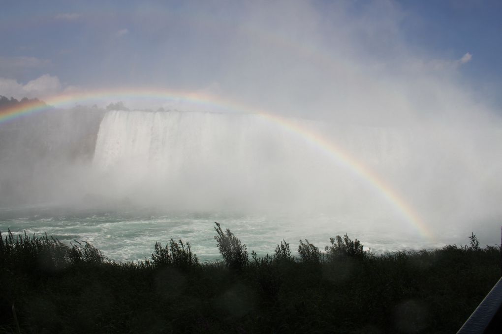 Album - Niagara