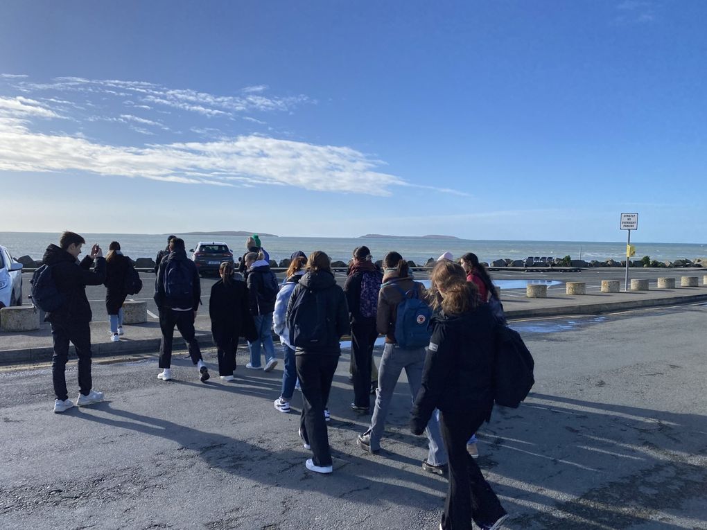 IR23 South Wexford Coast A Natural Heritage Coastline