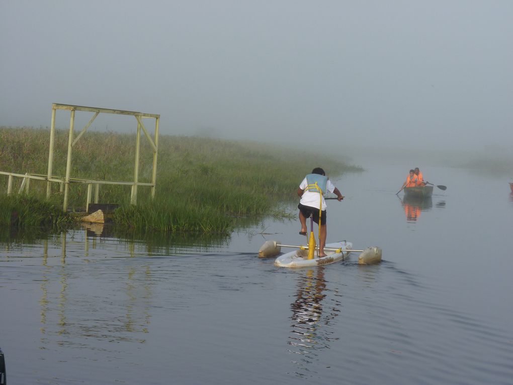 Album - Guyane-Ete-2011