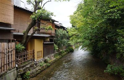 Quartier traditionnel et mariage à Kyoto