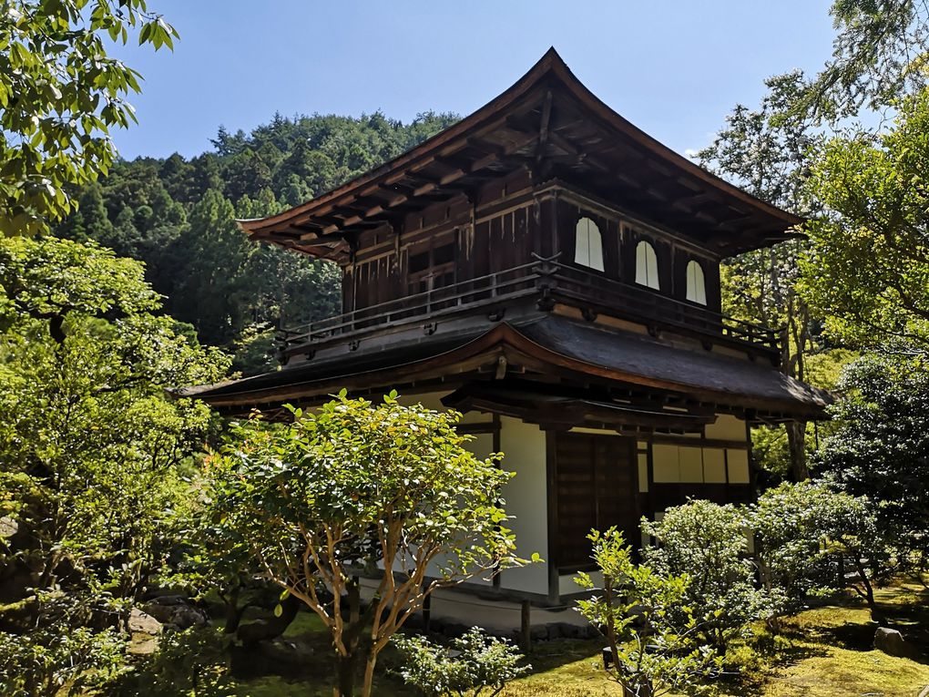 Les jardins à la japonaise sont absolument époustouflants ! Je ne suis pas particulierement jardinophile, contrairement à mon padre, mais l'esthetisme qu'on y trouve est profondément apaisant et de toute beauté !         Bien loin de la rigueur des jardins à la francaise, parfaitement ordonnés et rectilignes, héritage de Versailles et du temps de Louis XIV, les jardins à la japonaise se caractérisent par un enchevetrement très plaisant d'arbres et d'arbustes, d'eau qui coule, et de pierres et jardins de gravier.      2 philosophies qui s'affrontent, l'une d'une nature dominée et maîtrisée, l'autre d'un aménagement harmonieux et respectueux de la nature... et l'harmonie est vraiment le terme qui désigne le mieux mon ressenti en contemplation devant eux !        D'ailleurs, les japonais y sont très sensibles... Il faut voir la taille des arbres dans leurs maisons, ou comprendre que en période de printemps pour les cerisers en fleurs, ou à l'automne quand les feuilles des arbres prennent des couleurs rouges-jaunes-orangées, les parcs et jardins sont full of people et les hotels de la ville bondés !        Je vous laisse apprécier ces débuts d'automne déjà très prometteurs...