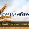 Vidéo 261 - Prémices de l'Éternel