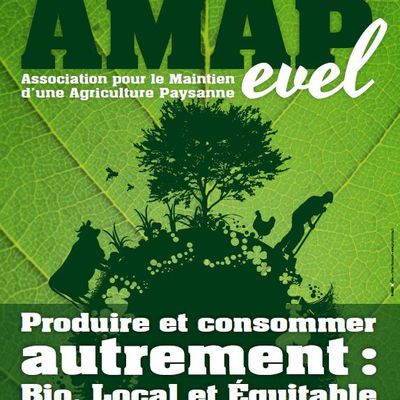 Amap Evel