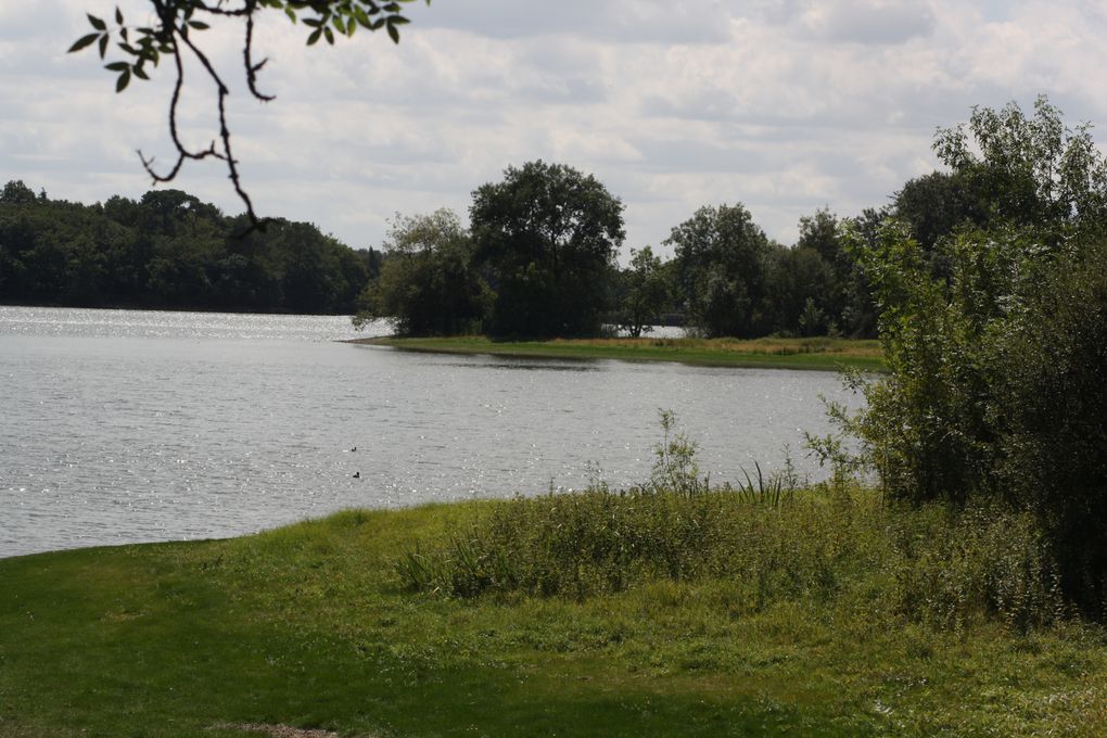 Vues prises le 26 août 2012 autour du grand étang de Vioreau, à Joué-sur-Erdre. Cette réserve d'eau, annexe du canal de Nantes à Brest, et réalisée de 1811 à 1835, devait contribuer - commme l'étang voisin de la Provostière à Riaillé, à