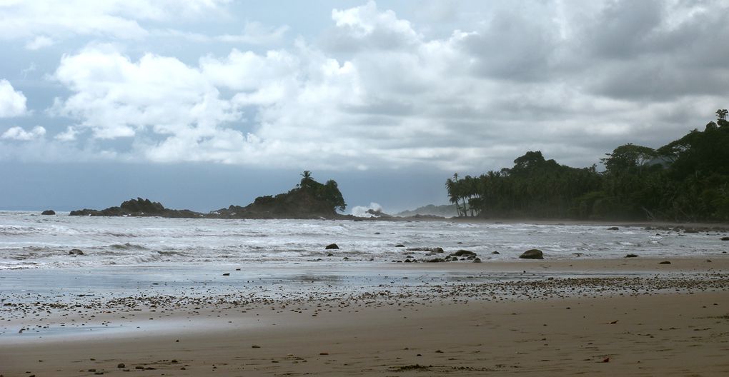 Bocas del Toro, Santa Catalina, Parc Corcovado, Boquete, Isla Bastimento, Puerto Jimenez, Dominical