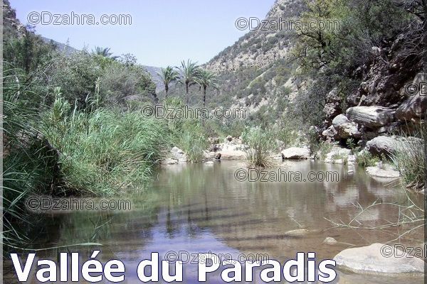 Balade à la cascade d'imouzzer