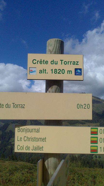 La Tête du Torraz - Praz-sur-Arly ( Haute-Savoie) 