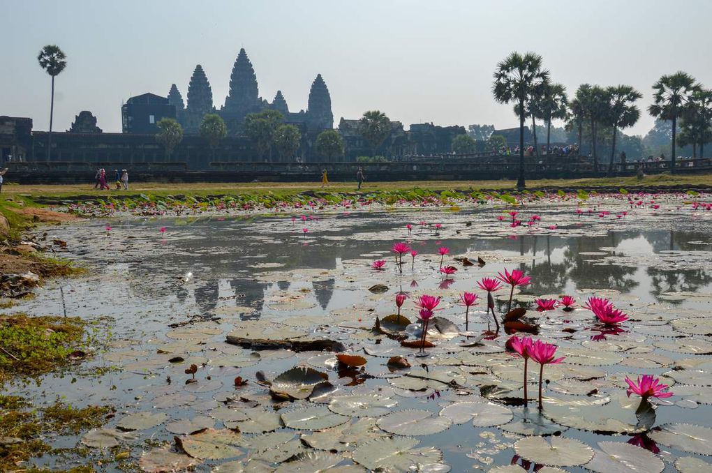 Premier pas en Asie : nos deux semaines au Cambodge 