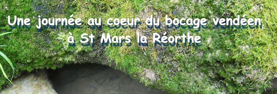 A la rencontre des Esprits de la Nature   Samedi 6 Juillet 2019