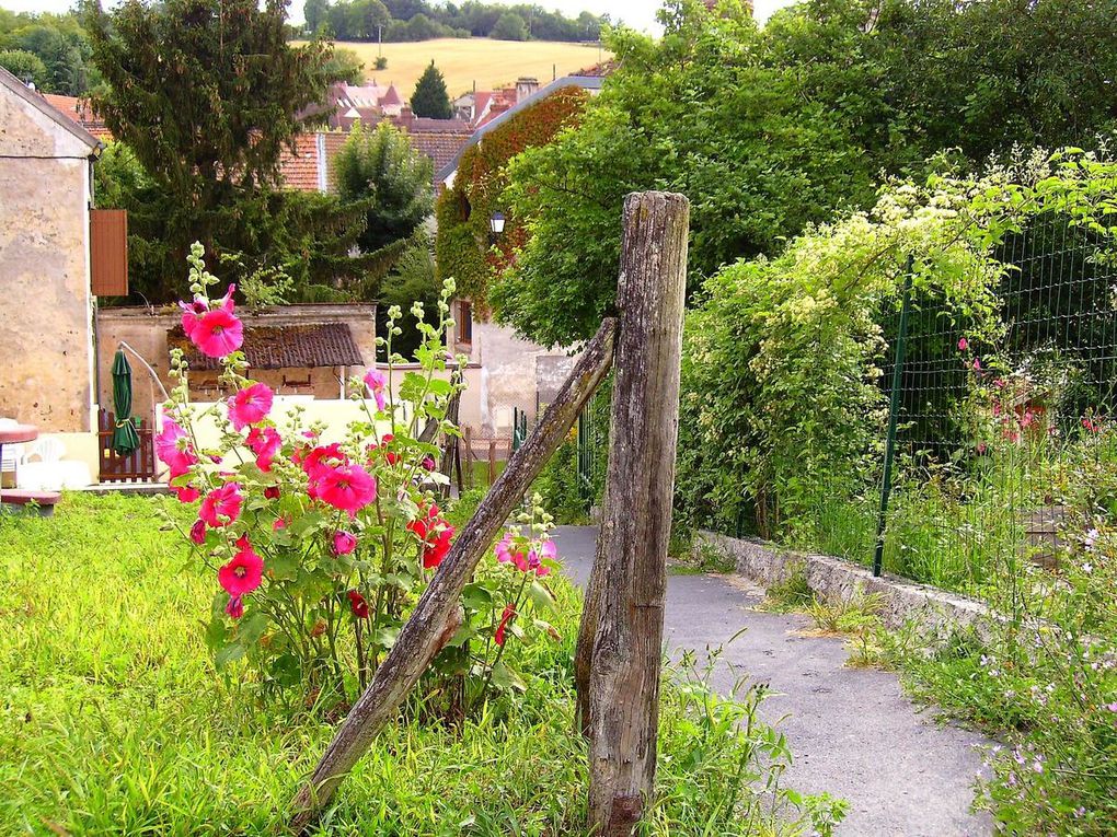 Images et paysages de CHEZY SUR MARNE