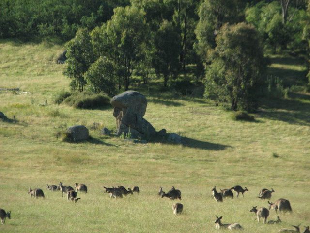 Album - Australie