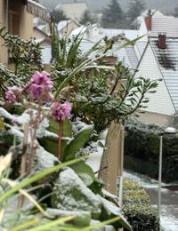 Un début de neige sur Paris et sa région