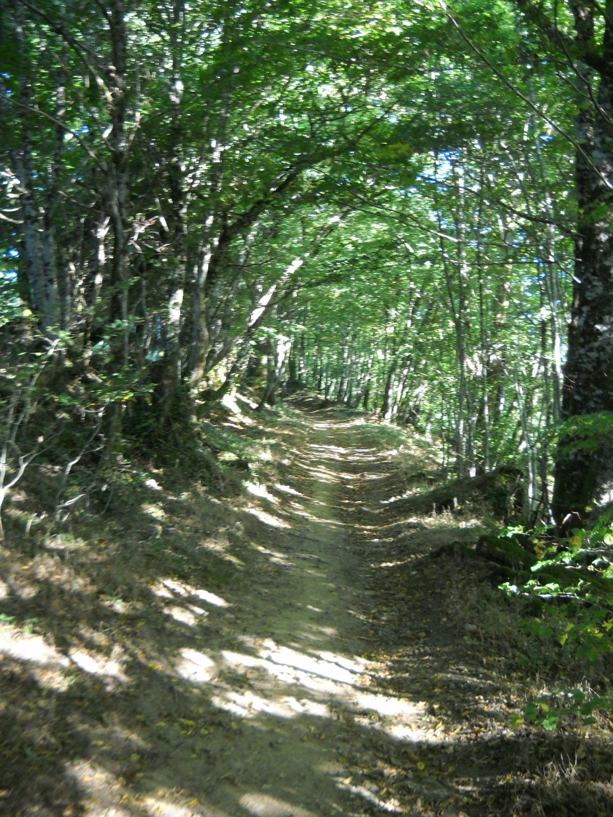 Chemin, randonnée, itinéraire en Périgord, Dordogne.