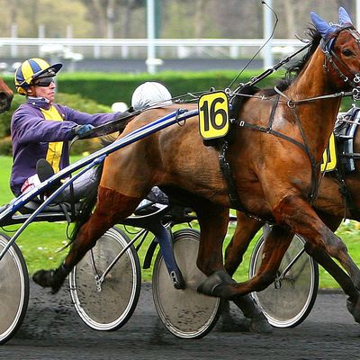 Quinté Mercredi à Vincennes : Bleu Ciel en prévision ! 