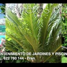 MANTENIMENTO DE JARDINES Y PISCINAS IBIZA