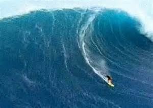 Le Français François Fillon surfe sur une vague géante ...