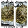 Poulet au courgette en papillote(recette légère)