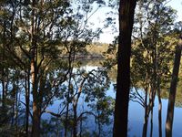 Entre Batemans et Jarvis Bay, délaissez les princes pour les rois (passez de Princes Highway à Kings Highway). Puis, prenez sur la droite The River Road, une petite route de terre très bien entretenue, sans aucun risque pour la voiture de location, qui longe la rivière et parfois même la rencontre... Ha oui, elle est froide!