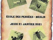 Ecole de Meslin 22 