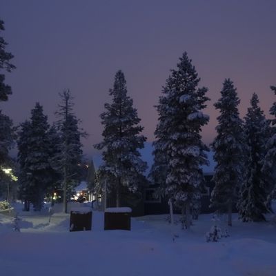 Là où les rêves deviennent réalité - Laponie