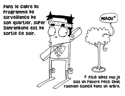 Le Petit Chat Roumain Le Monde Sanrankune